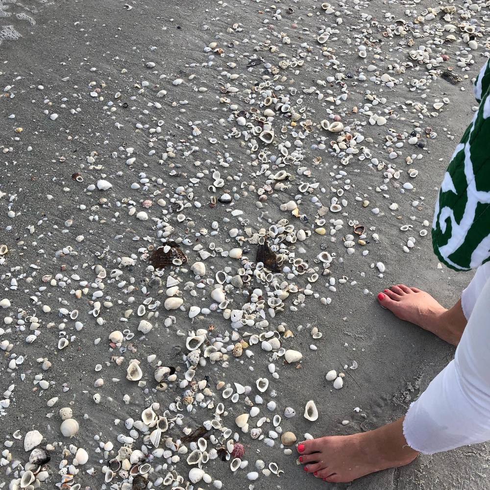 Meet your Posher, Elaine